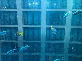 06_blue.jpg